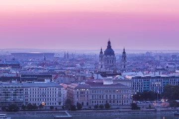 Deurstickers Panoramic cityscape of Saint Stephen basilica on the Danube river. Colorful sunrise in Budapest, Hungary © Evgeniya Biriukova