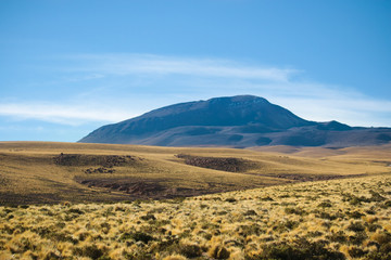 Atacama Desert Fields on a Sunny Day