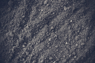 Fresh black soil. Close-up. Top view. Background. Texture.