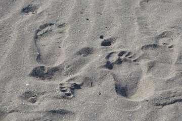 Fototapeta na wymiar human footprints in the sand, foot in the desert