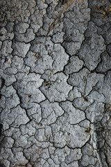 Dry cracked ground for background