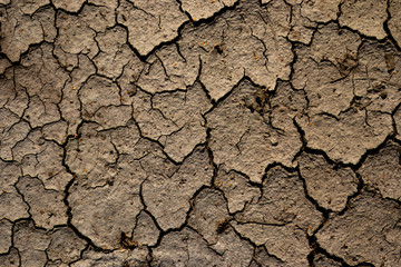 Dry cracked brown ground for background