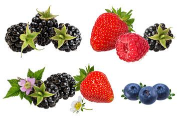 Berries collection. Raspberry, strawberry,blueberry, blackberry  isolated on white.