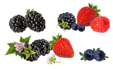 Berries collection. Raspberry, strawberry,blueberry, blackberry  isolated on white.