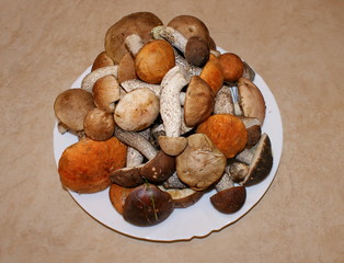 Лесные подберезовики и подосиновики на белой тарелке