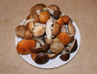 Лесные подберезовики и подосиновики на белой тарелке