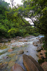 River in tropical rainforest