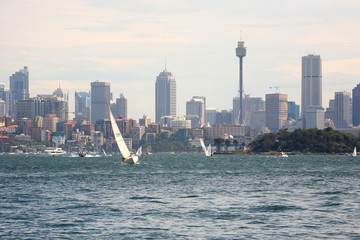 Sail boats in Sydney harbor