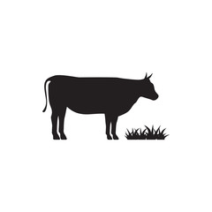 Cow graphic design template vector isolated illustration