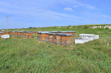 The bee hives in outdoor