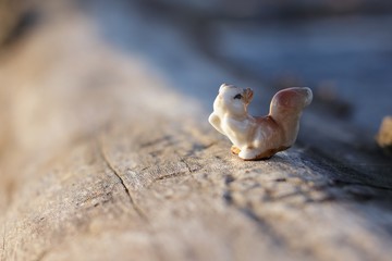 Mini Porcelain Squirrel On Wooden Log Next To River Macro Close Up