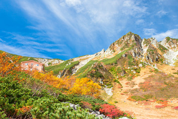 【長野県駒ヶ根市】千畳敷カールの紅葉
