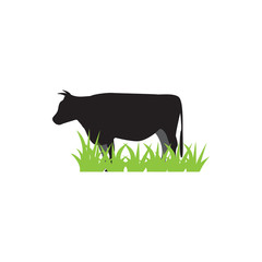 Cow graphic design template vector isolated illustration