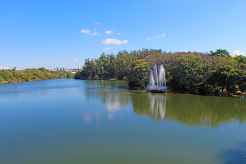 Fototapeta premium Campinas