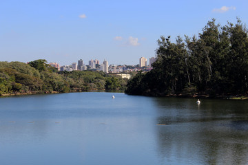Fototapeta premium Campinas