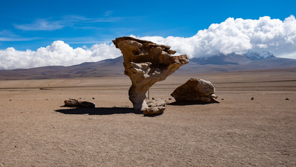 Bolivia - Potosi: Arvore de pedra (Árbol de Piedra)