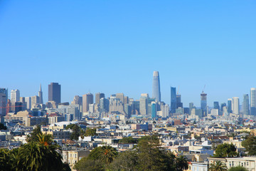 Fototapeta na wymiar View of San Francisco’s Skyline from Mission Dolores Park, United States