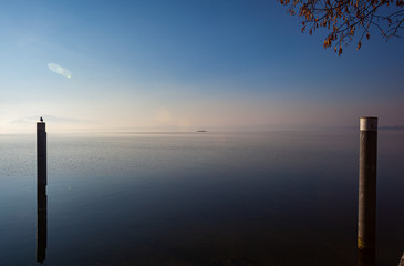 Obraz premium Early morning crew row on Lake Zug, Switzerland 