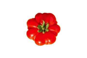 Bright red strange tomato on a white background