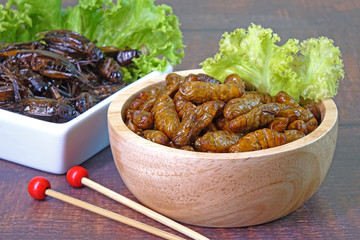 Edible insects : Deep fried crispy Silkworm pupae and cricket.  Entomophagy : Edible insects, other natural sources of nutrients. Famous street food in Thailand. Selective focus