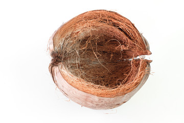 brown dry coconut on white background