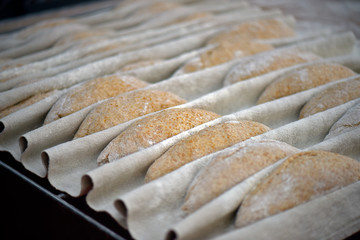 Raw whole grain bread in fermentation