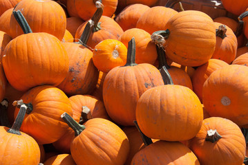 Pumpkins