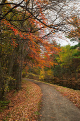 Fototapeta na wymiar Autumn Path
