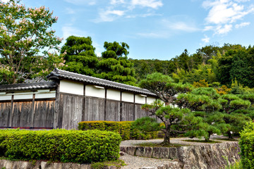 Fototapeta na wymiar View of a Japanese garden with a traditional white/wooden wall in summer time