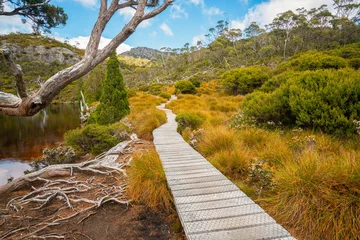 Crédence de cuisine en verre imprimé Mont Cradle Nature landscape in Cradle mountain national park in Tasmania, Australia.