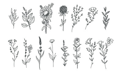 set of flower and plant for wedding decoration, romantic print, floral set illustration 