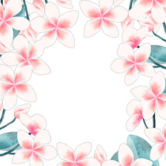 Plumeria flower frame