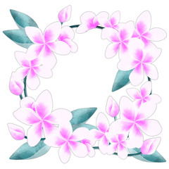 Plumeria flower round bouquet wreath