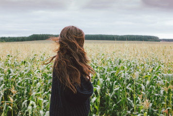 Beautiful wind long hair girl in knitted sweater in the autumn corn field. Sensitivity to nature...