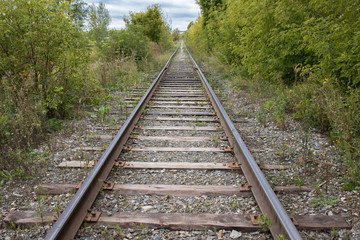 Old abandoned railroad in the Bush