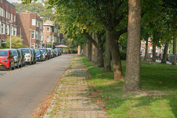 Fototapeta na wymiar Park view of Groningen, the Netherlands