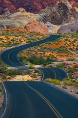 Travel down a winding desert road toward adventure