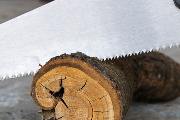Sawing logs with a hand saw in the backyard. Close up.