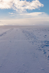 Fototapeta na wymiar Frozen Tundra West Desert