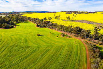 Obraz premium Farming fields in Toodyay, Western Australia