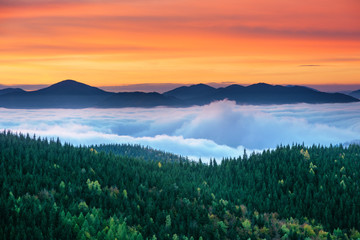 A beautiful autumn dawn in the Ukrainian Carpathian Mountains, with fogs in the valleys and forests, and yellow-red trees.