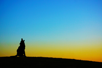 夕暮れの丘に立つ犬のシルエット