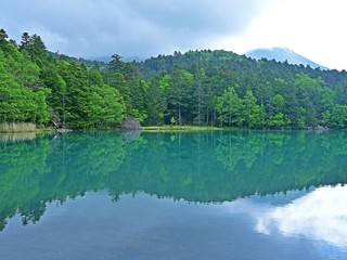 Fototapeta premium 遊歩道から見るオンネトー湖の情景＠北海道