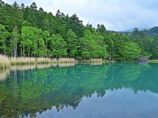 遊歩道から見るオンネトー湖の情景＠北海道