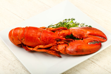 Lobster