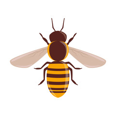 Cartoon style isolated vector bee clip-art.