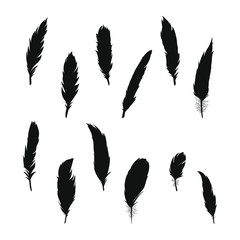 Feathers silhouette vector set, different simple feather clip art.