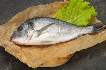 Raw Dorada fish  for cooking