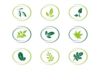 leaves, plant, icons , nature, Eco friendly business logo	