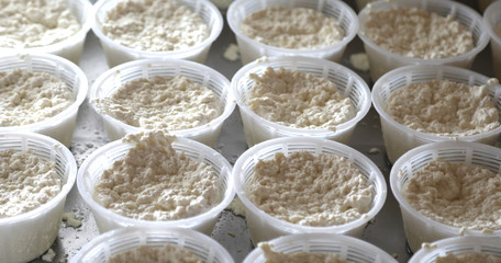 fresh cheese called ricotta in italian language